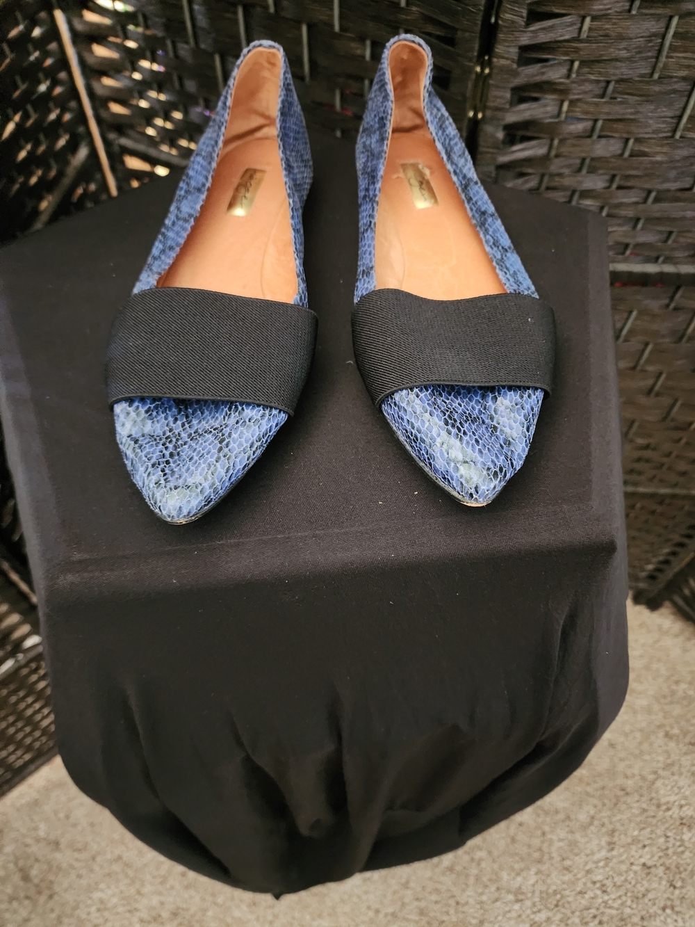 Halogen Blue Snake-Print Pointed Toe Flats with Black Elastic Band. (B1)